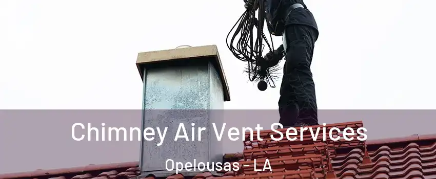 Chimney Air Vent Services Opelousas - LA