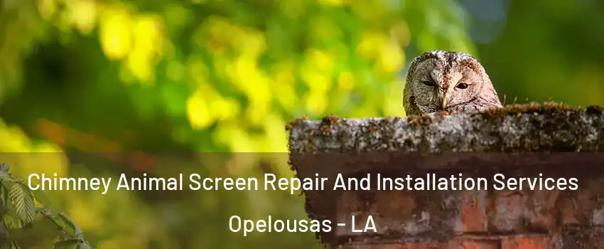  Chimney Animal Screen Repair And Installation Services Opelousas - LA