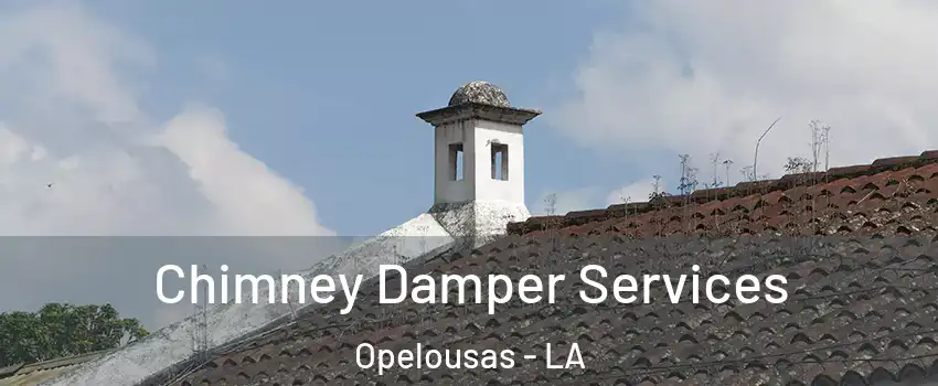 Chimney Damper Services Opelousas - LA