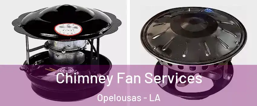  Chimney Fan Services Opelousas - LA