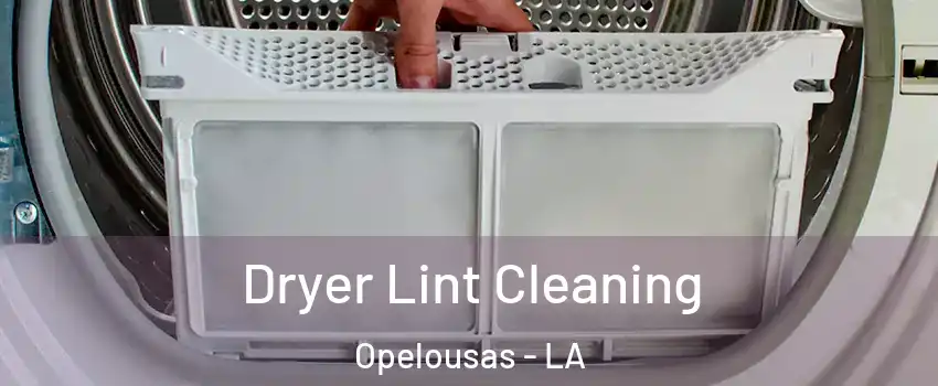  Dryer Lint Cleaning Opelousas - LA
