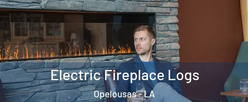  Electric Fireplace Logs Opelousas - LA