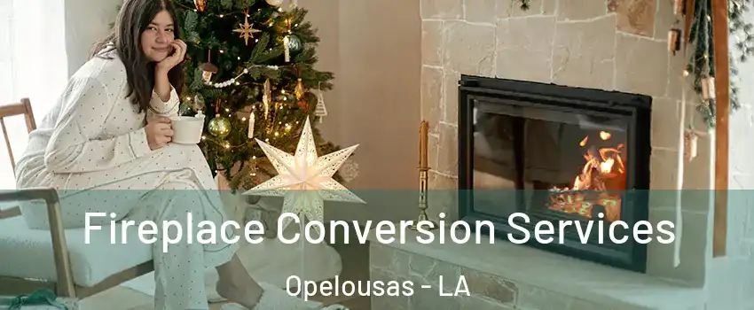  Fireplace Conversion Services Opelousas - LA