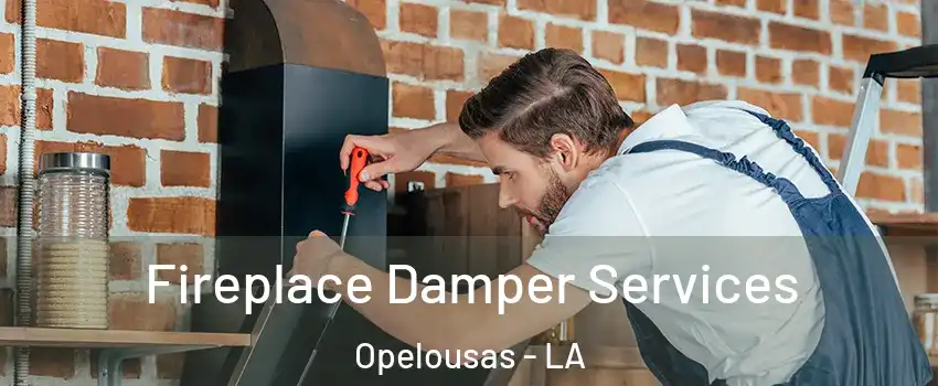  Fireplace Damper Services Opelousas - LA