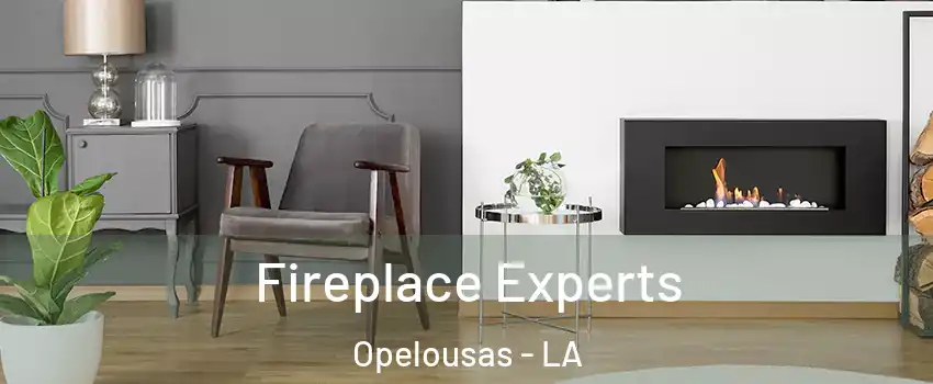  Fireplace Experts Opelousas - LA