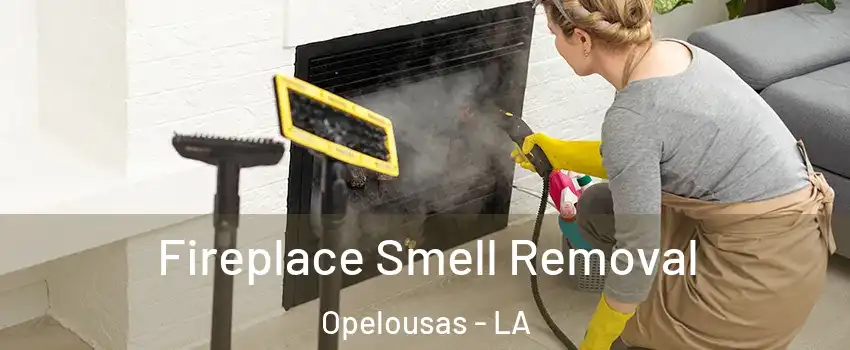 Fireplace Smell Removal Opelousas - LA