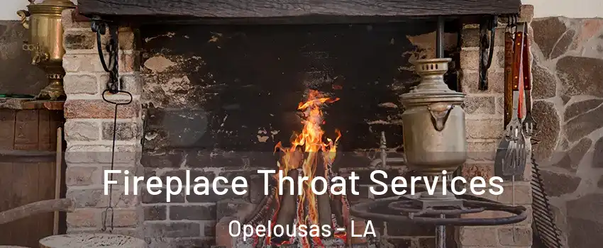  Fireplace Throat Services Opelousas - LA