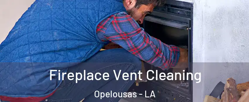 Fireplace Vent Cleaning Opelousas - LA