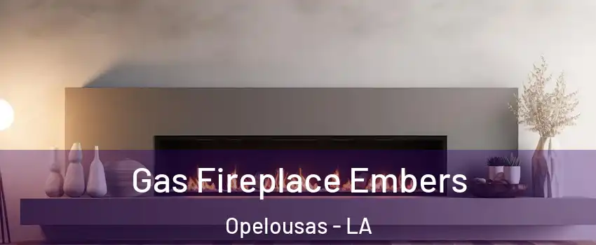  Gas Fireplace Embers Opelousas - LA
