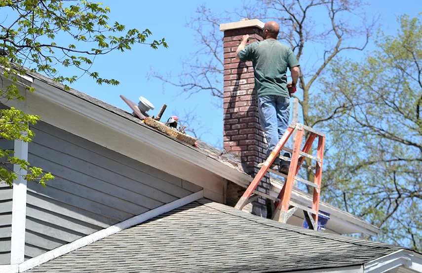 Chimney & Fireplace Inspections Services in Opelousas, LA