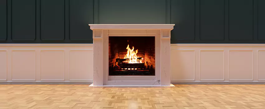 Napoleon Electric Fireplaces Inspection Service in Opelousas, Louisiana