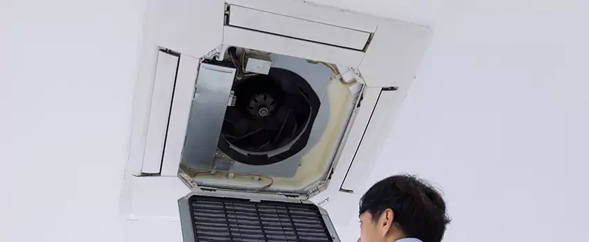 Benefits of Professional Air Duct Cleaning in Opelousas, Louisiana