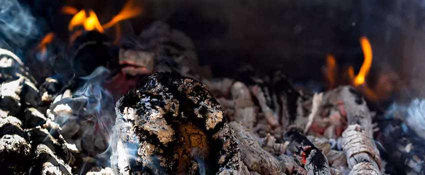 Creosote Removal Experts in Opelousas, LA