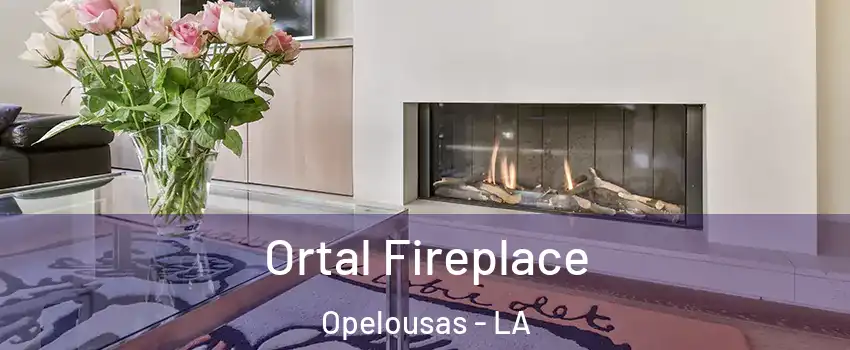  Ortal Fireplace Opelousas - LA