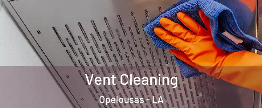  Vent Cleaning Opelousas - LA