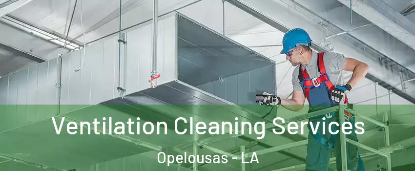  Ventilation Cleaning Services Opelousas - LA