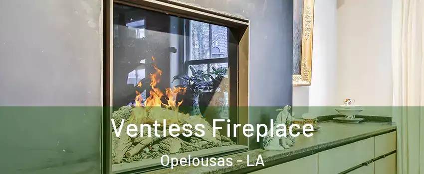  Ventless Fireplace Opelousas - LA